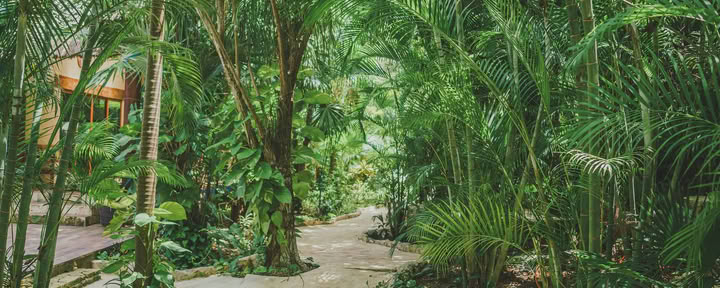 Seminario de Vacaciones para Parejas de Tantra Source