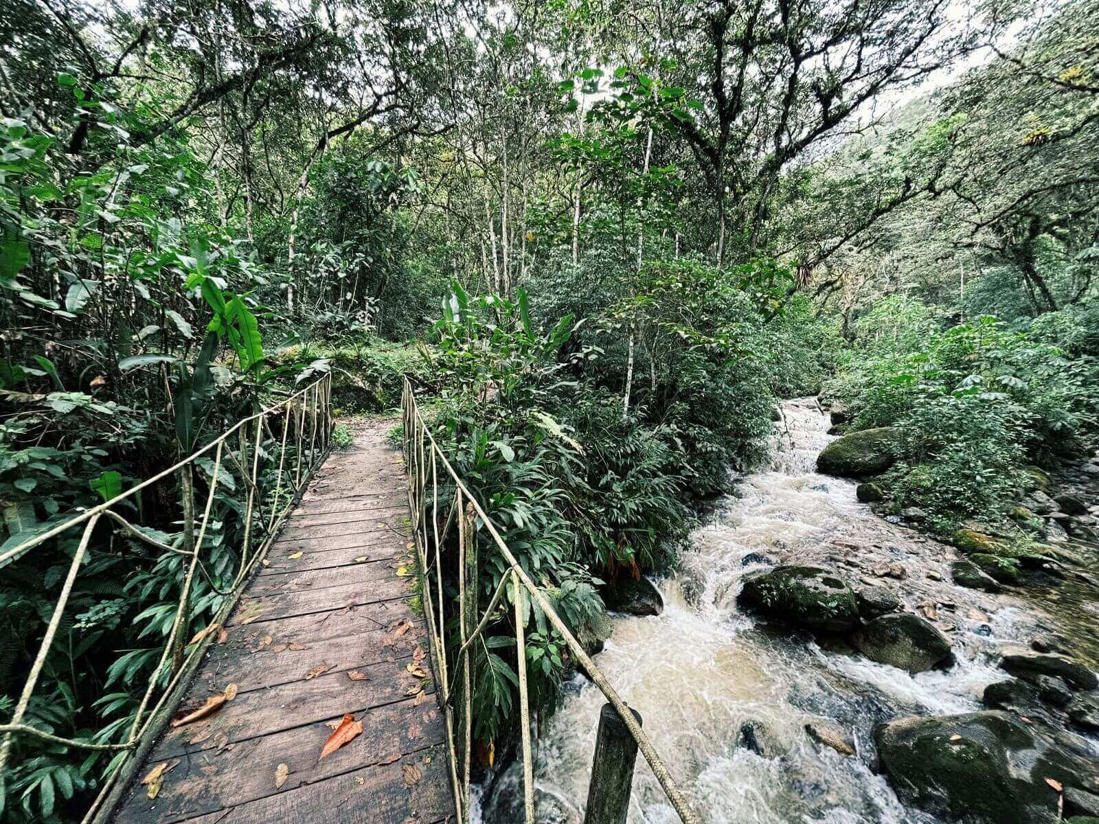 Machu Picchu Místico: Viaje con Momentos Conscientes (2 Días)