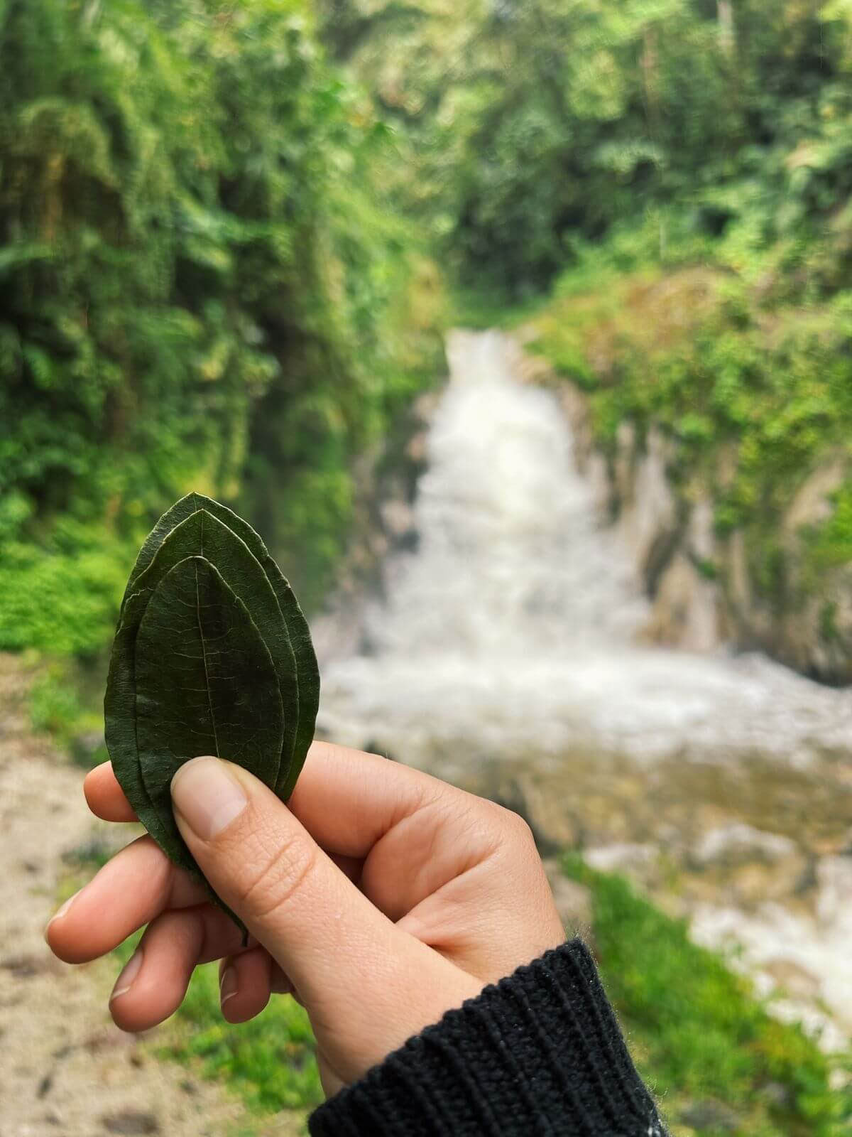 Machu Picchu Místico: Viaje con Momentos Conscientes (2 Días)