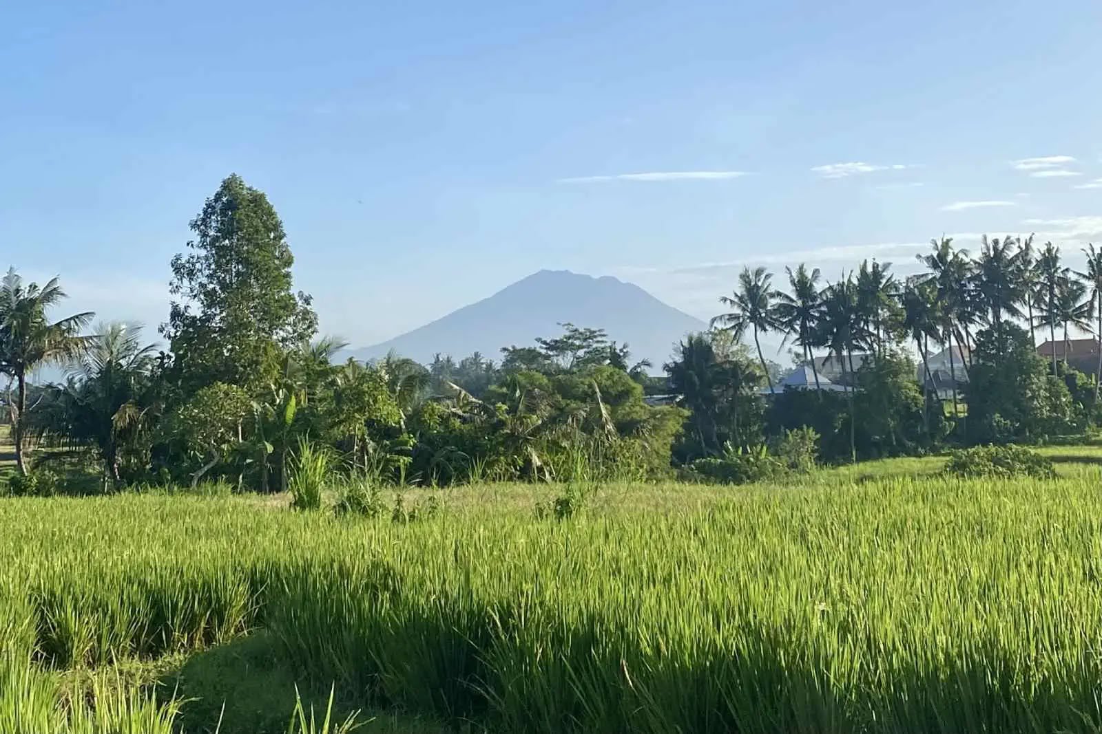 Paseo matutino de cortesía