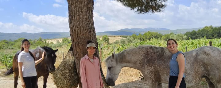 Yoga y sanación con caballos: retiro de 5 días