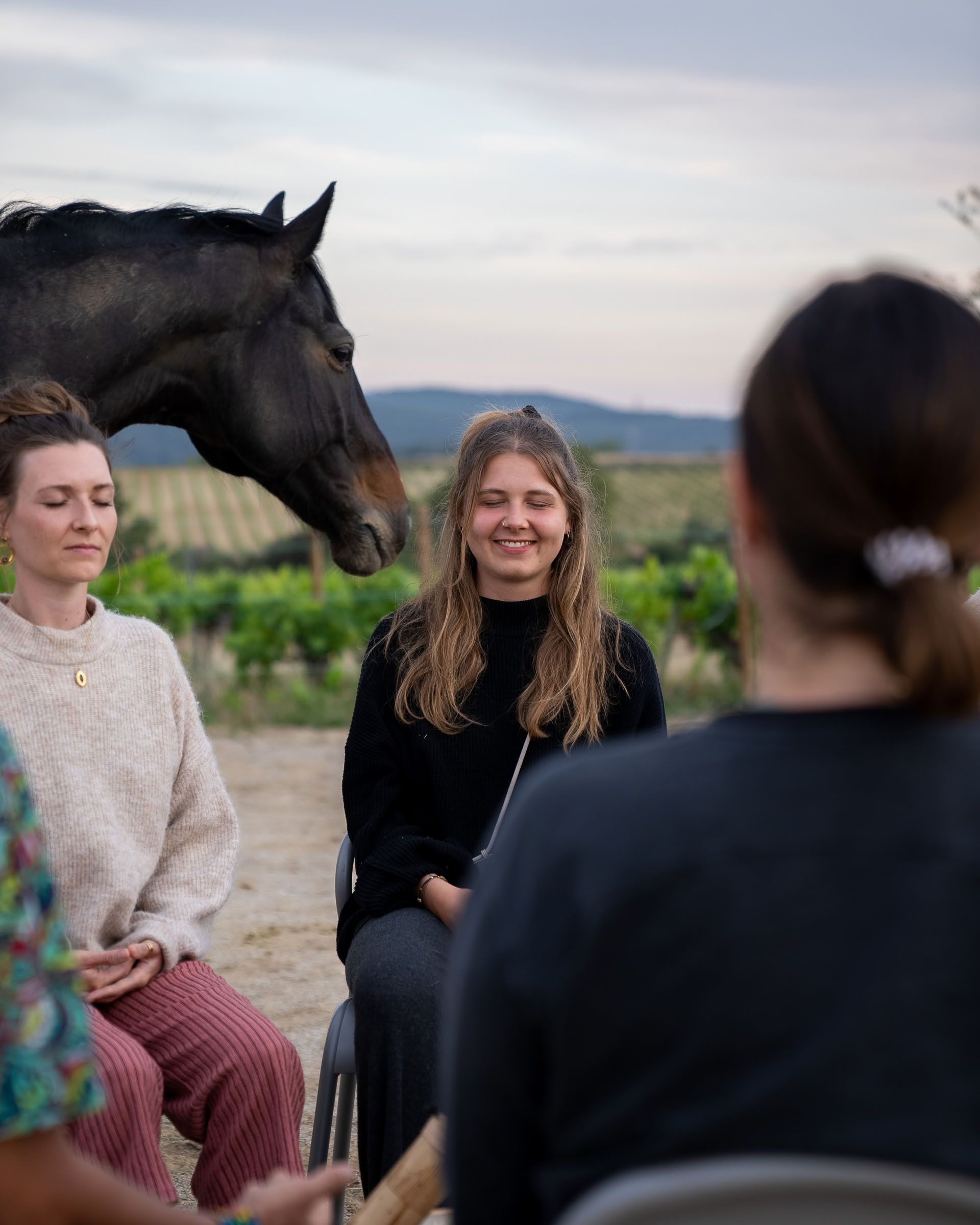 Yoga y sanación con caballos