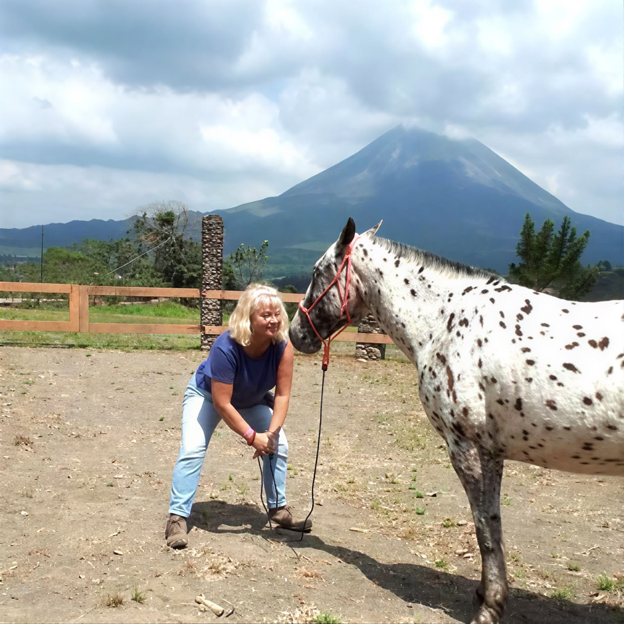 Yoga y sanación con caballos