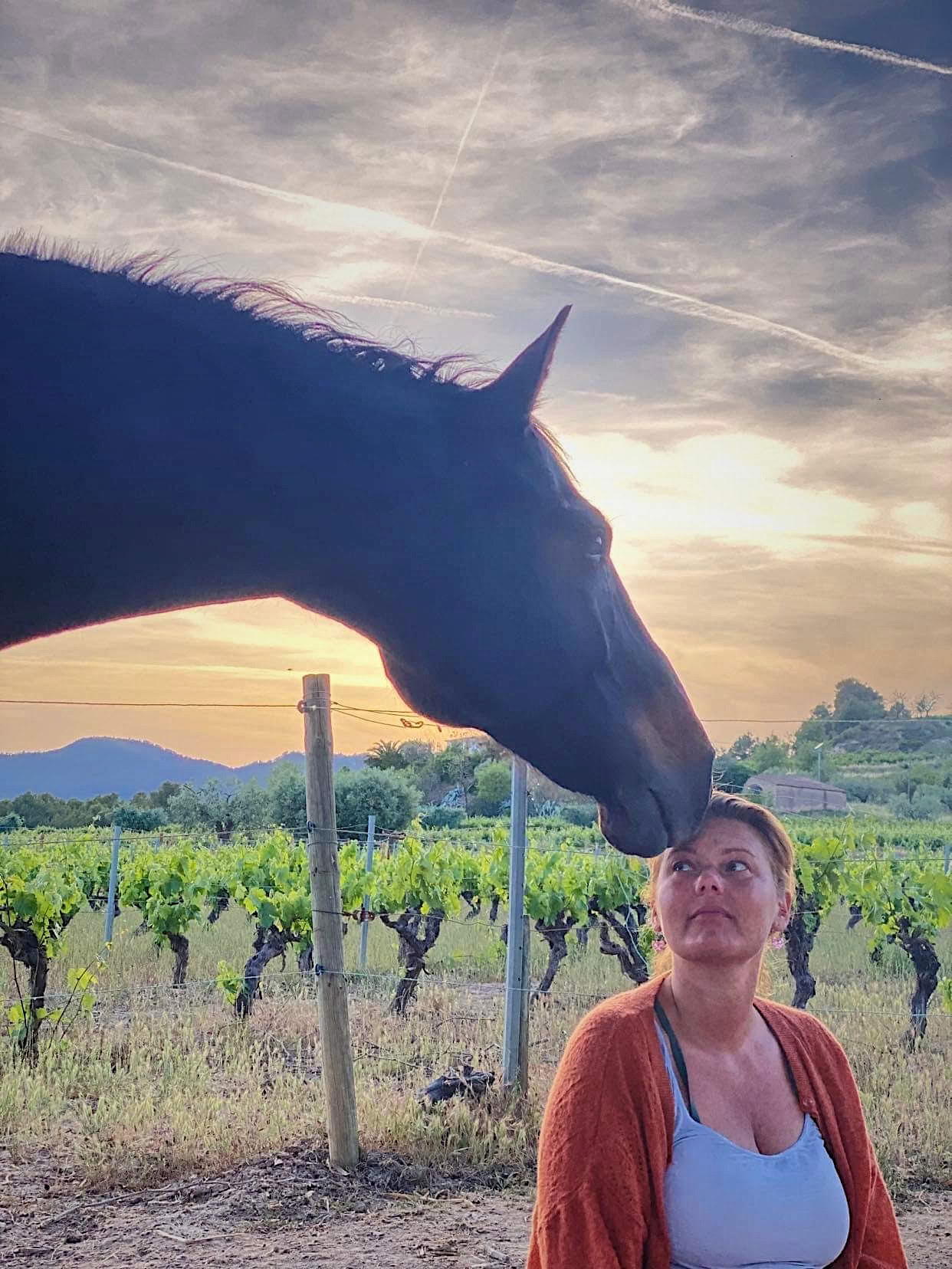 Yoga y sanación con caballos