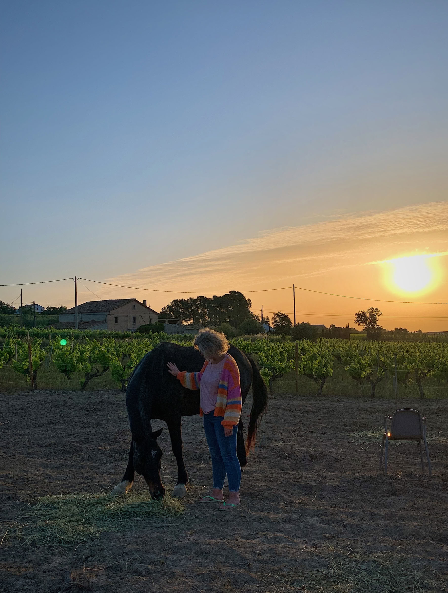 Yoga y sanación con caballos