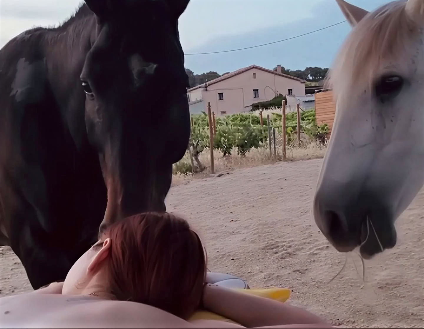 Yoga y sanación con caballos