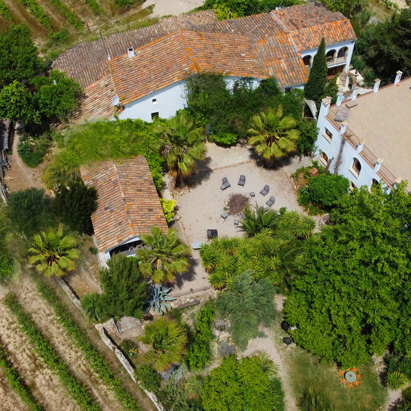 Vacaciones de Yoga Alaya