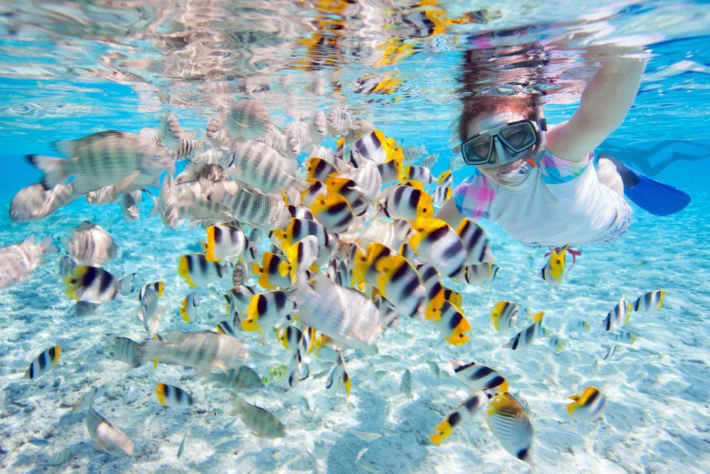 Paquete de Retiro Waterlover