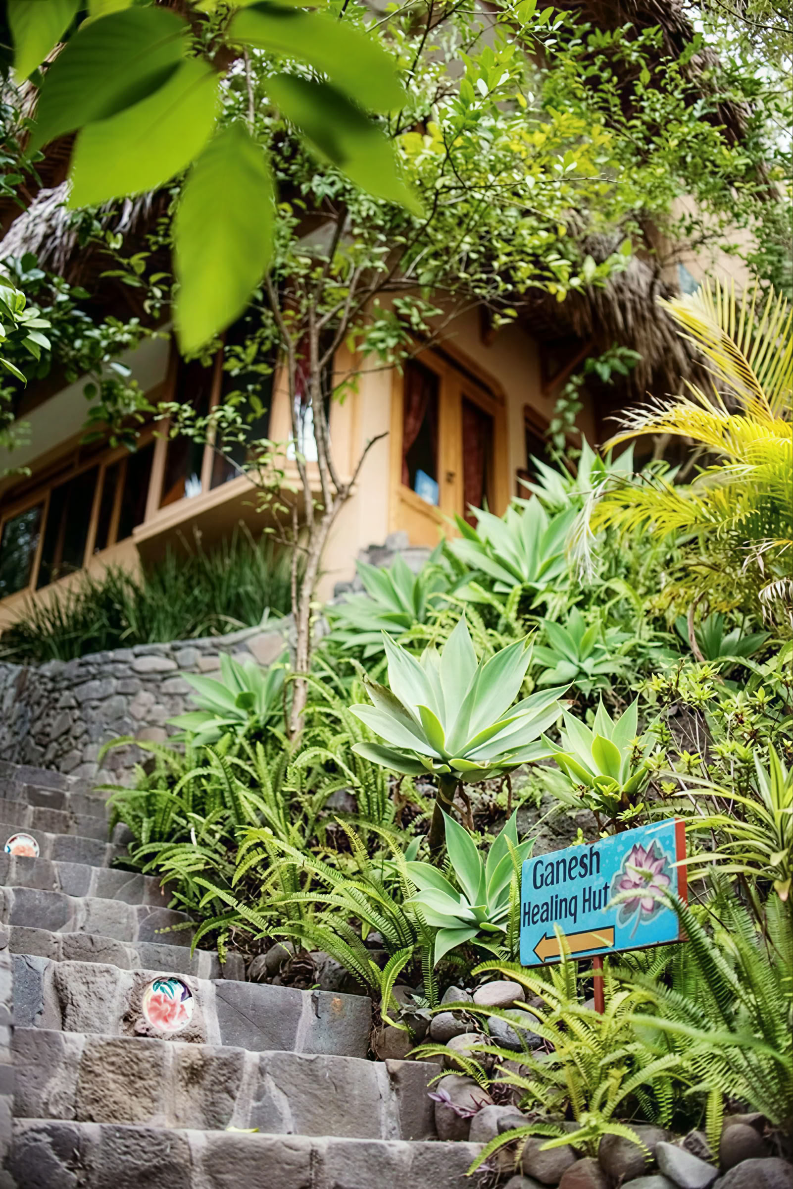 6 días Retiro de yoga en Guatemala – 12-17 de junio de 2027 con Michelle Fajkus