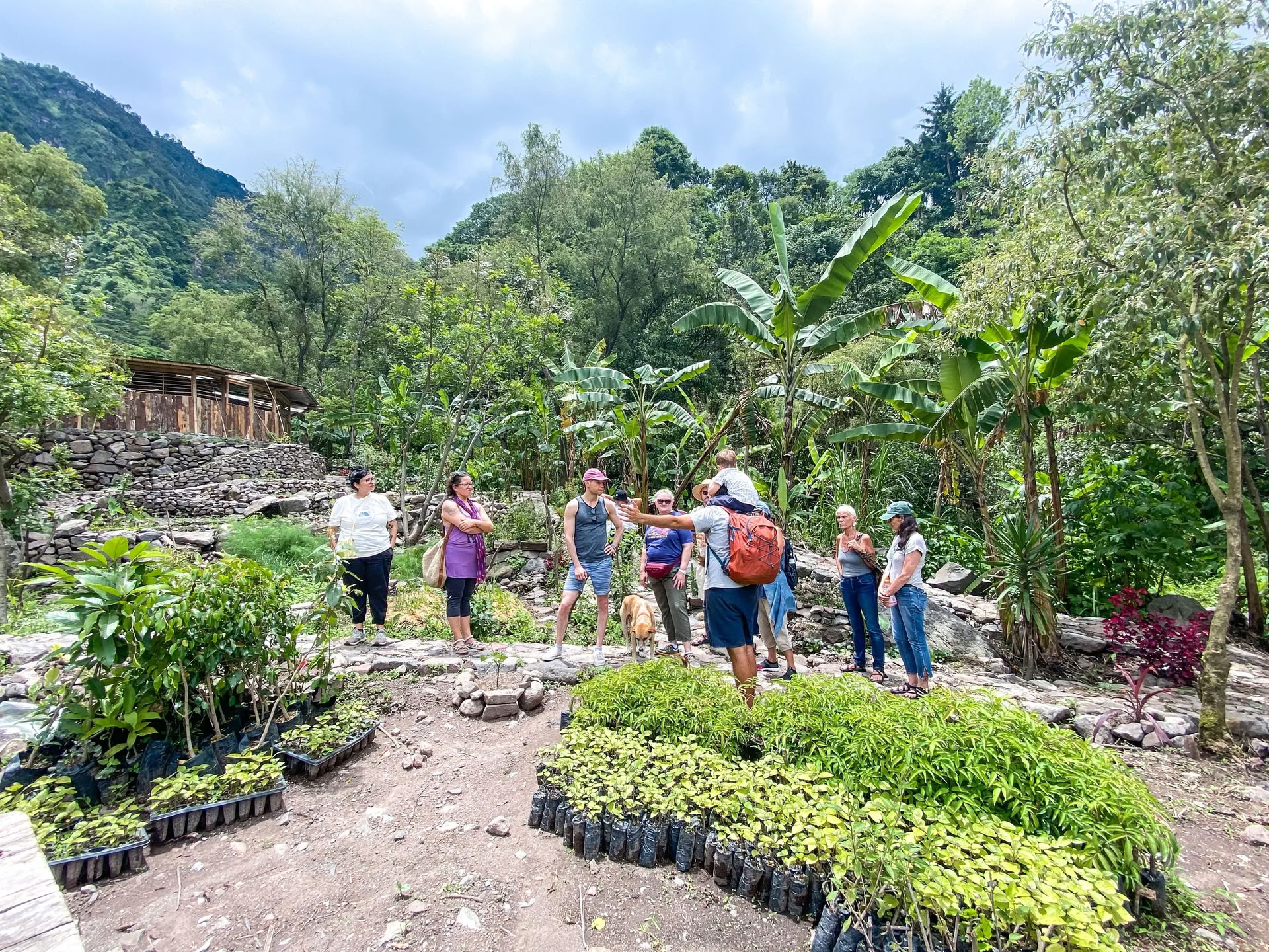 6 días Retiro de yoga en Guatemala – 12-17 de junio de 2027 con Michelle Fajkus
