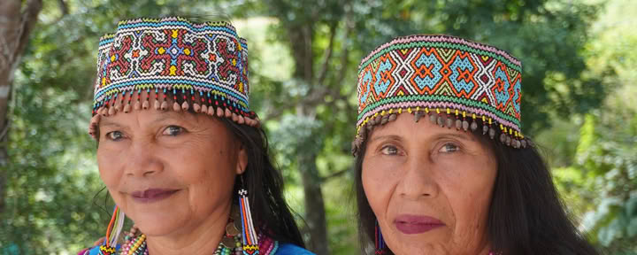 8 Day | 7 Night Inmersión Shipibo de Ayahuasca Informada sobre el Trauma