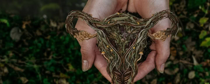 Wisdom Rising | Una inmersión de psilocibina y perimenopausia para mujeres - Solo lista de espera, fechas por confirmar