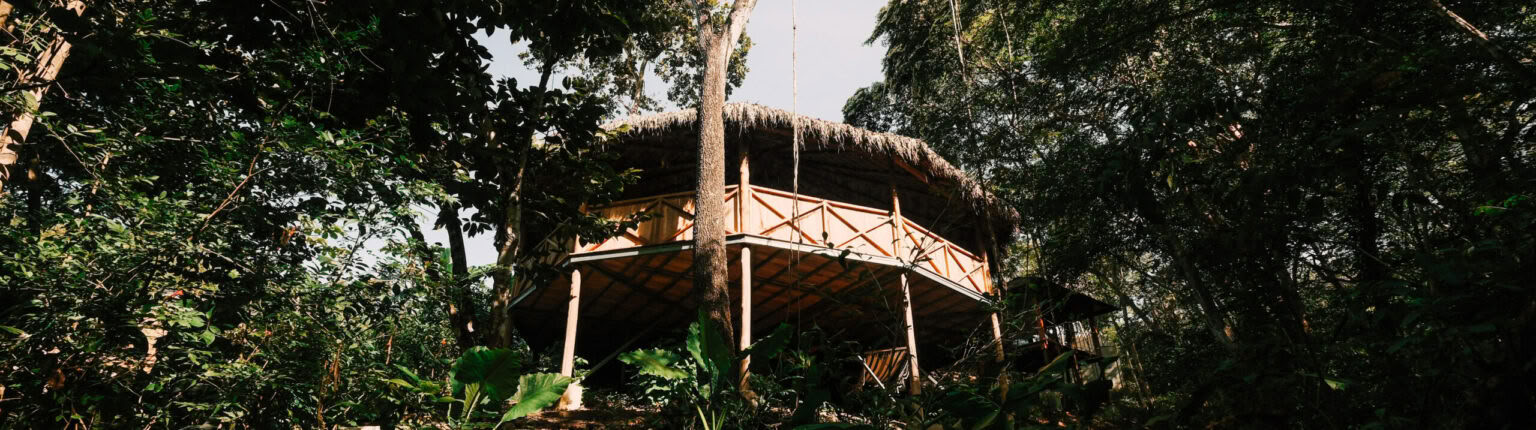 Soberanía Encarnada | Un Retiro de San Pedro Solo para Mujeres