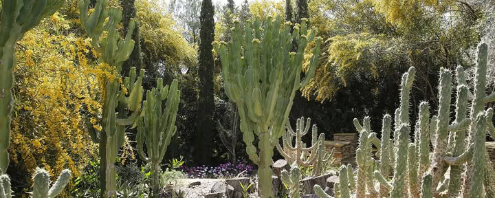 Retiro Dharma