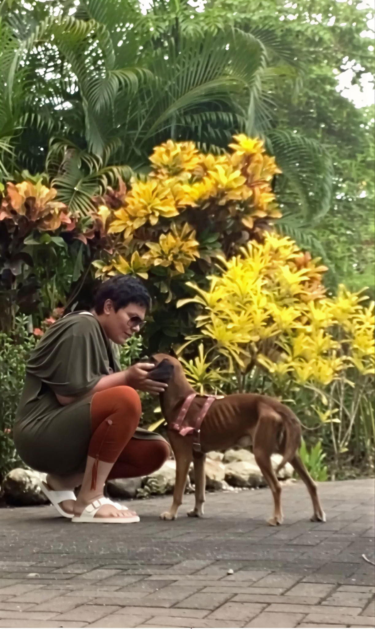 Experiencias privadas de retiro 1:1 en Costa Rica