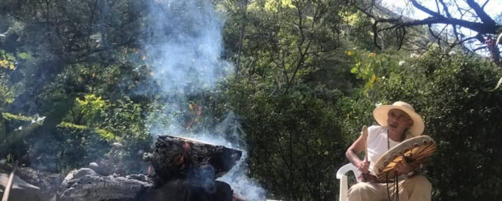 8 Day Ayahuasca + San Pedro Retiro Ecuador | Plant Medicine Retiro