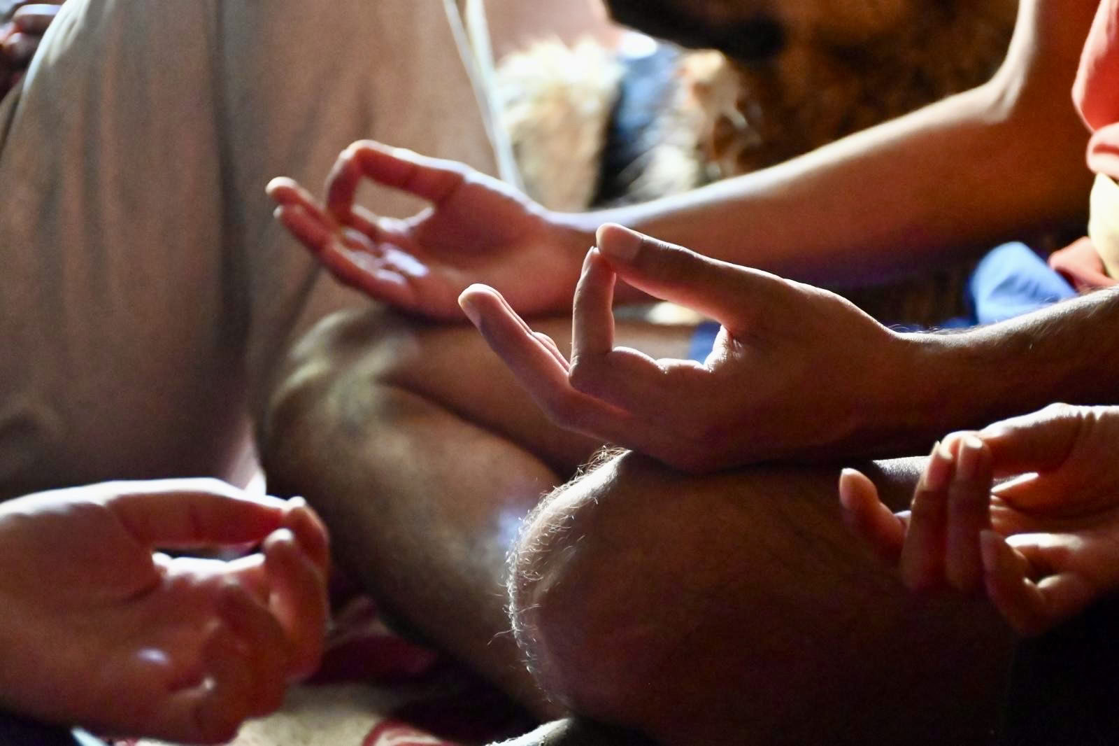SHUNYATA: Programa de despertar en silencio de 11 días.
