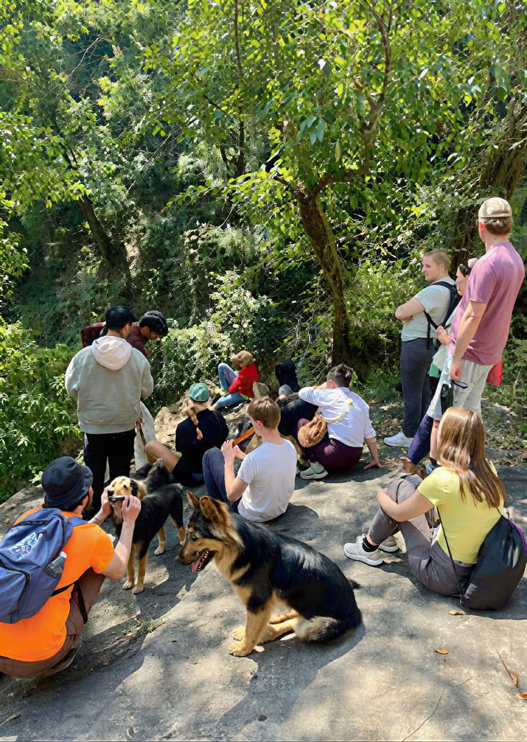 Vipasana en Rishikesh: programa de despertar silencioso de 11 días.