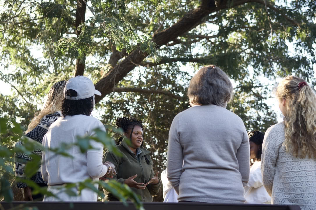 Yoga Con Elefantes