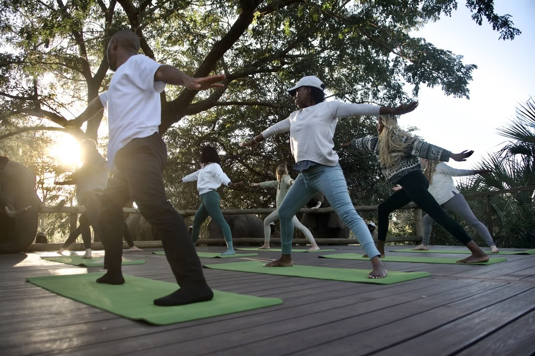 Yoga Con Elefantes