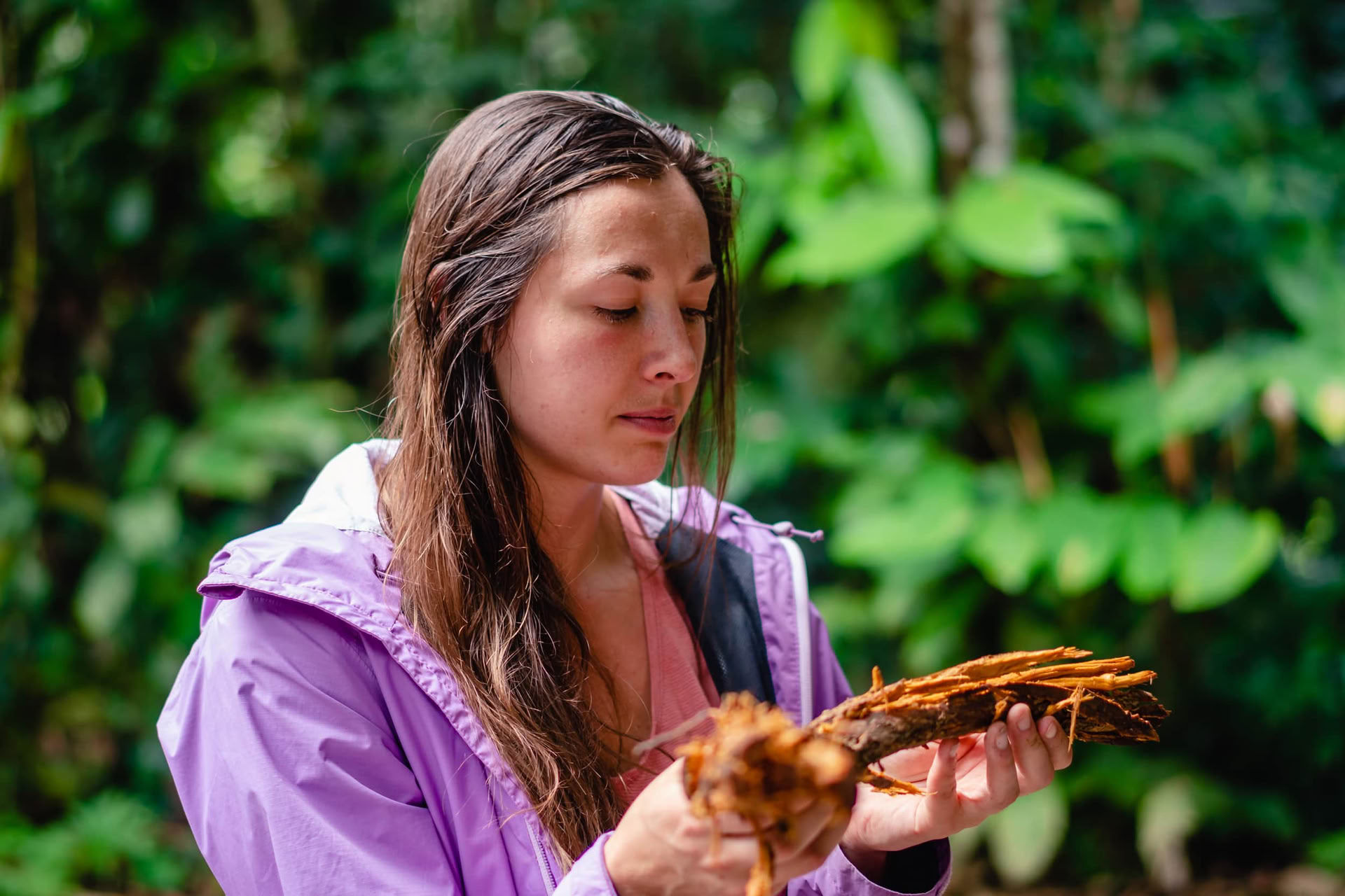 Ayahuasca Julio 2026 Retiro de Renovación Radiante (12 Días)