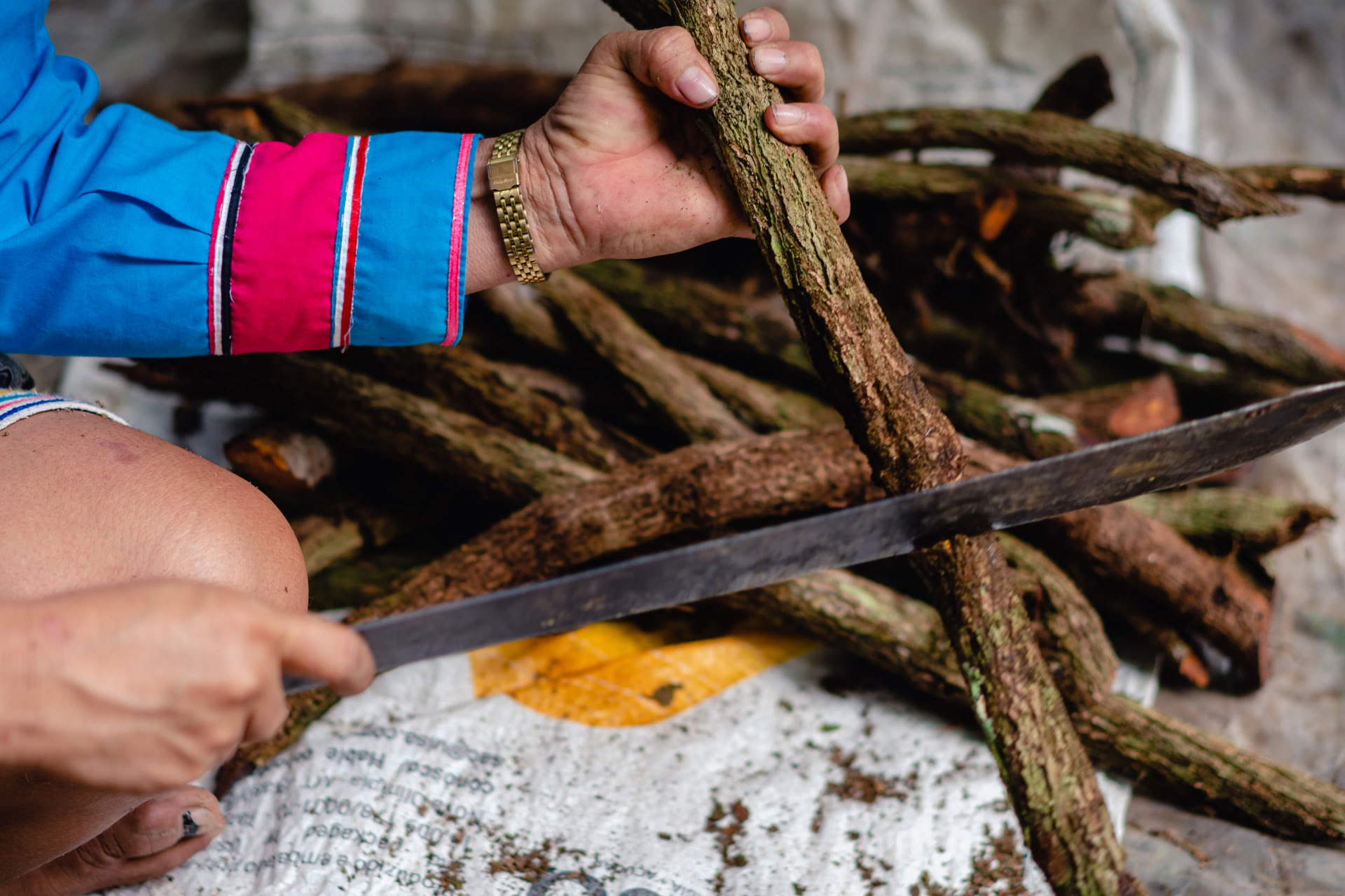 Ayahuasca Agosto 2026 Retiro de Renovación (12 Días)