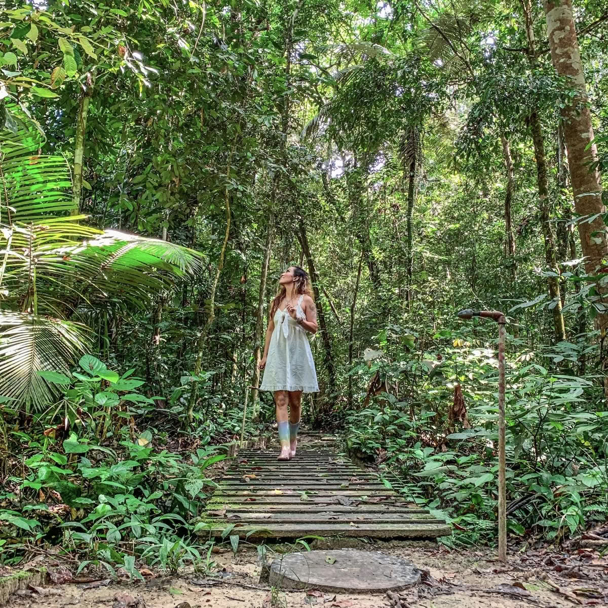 Retiro de Transformación de Ayahuasca Octubre 2026 (8 días)