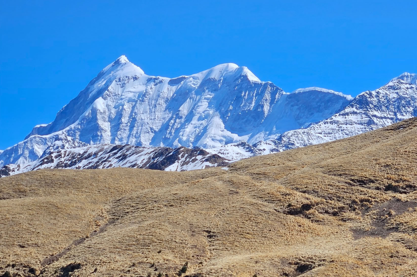 Bedni Bugyal Trek – 9 al 13 de julio de 2026