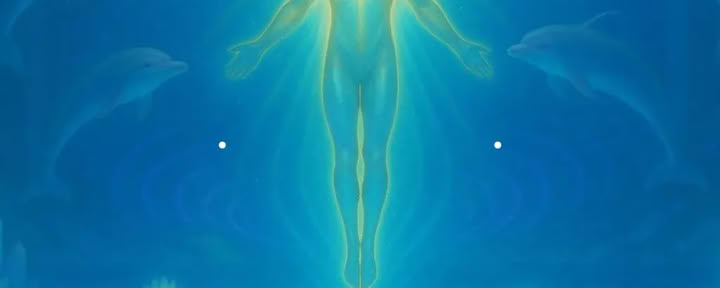 Meditación de frecuencia de delfín