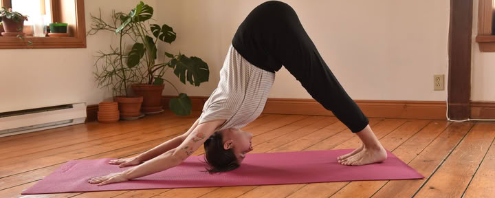 Hatha Yoga Tradicional (8:30 - 9:30)