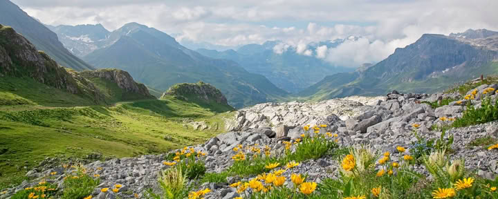 Trek del Valle de las Flores