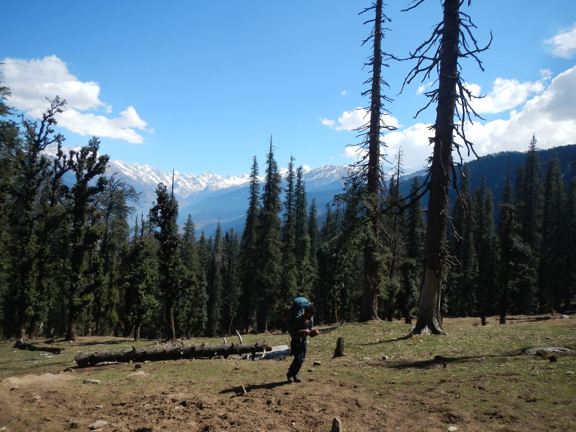 Trekking a Kedarkantha