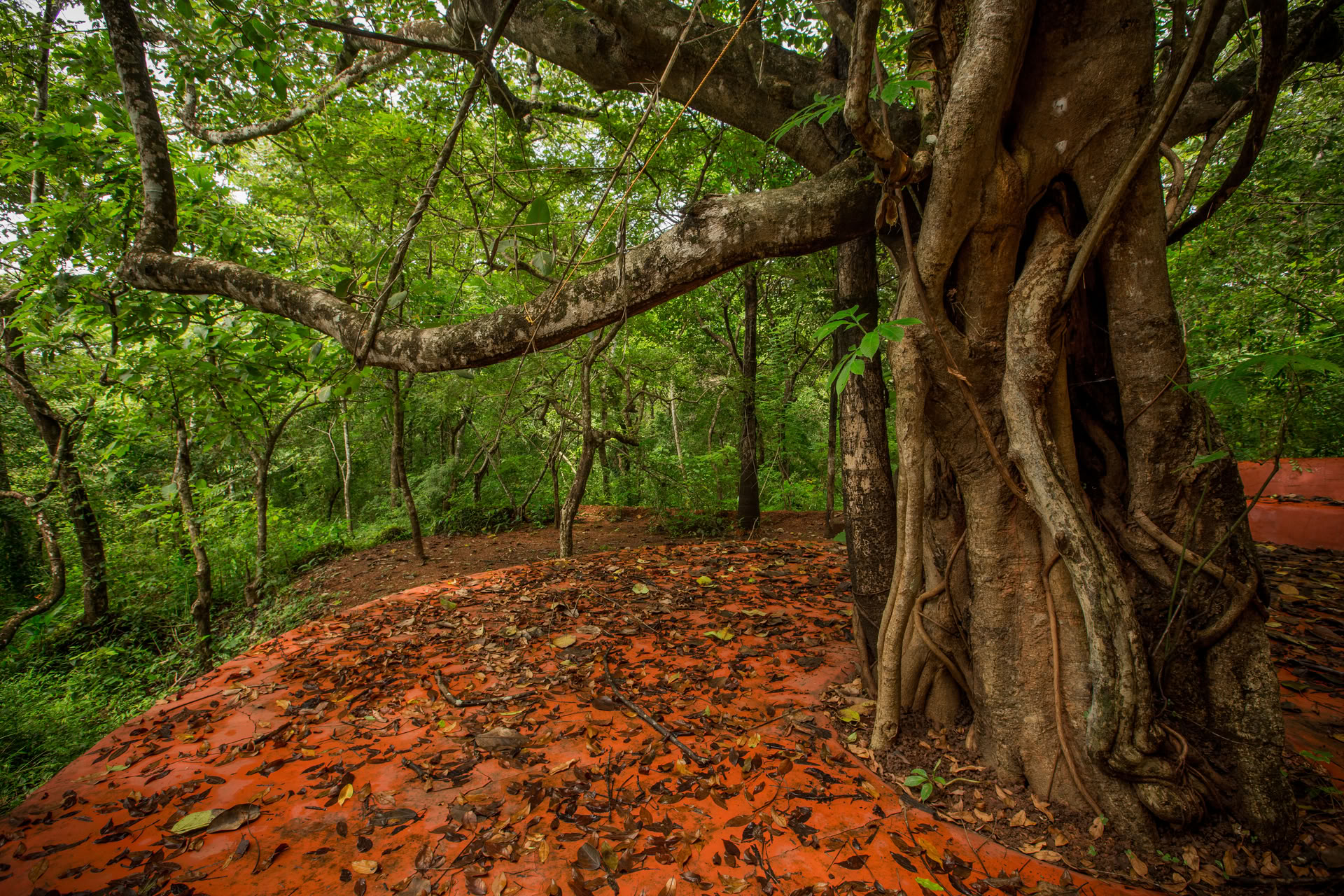 Retiro de Yoga Saundarya