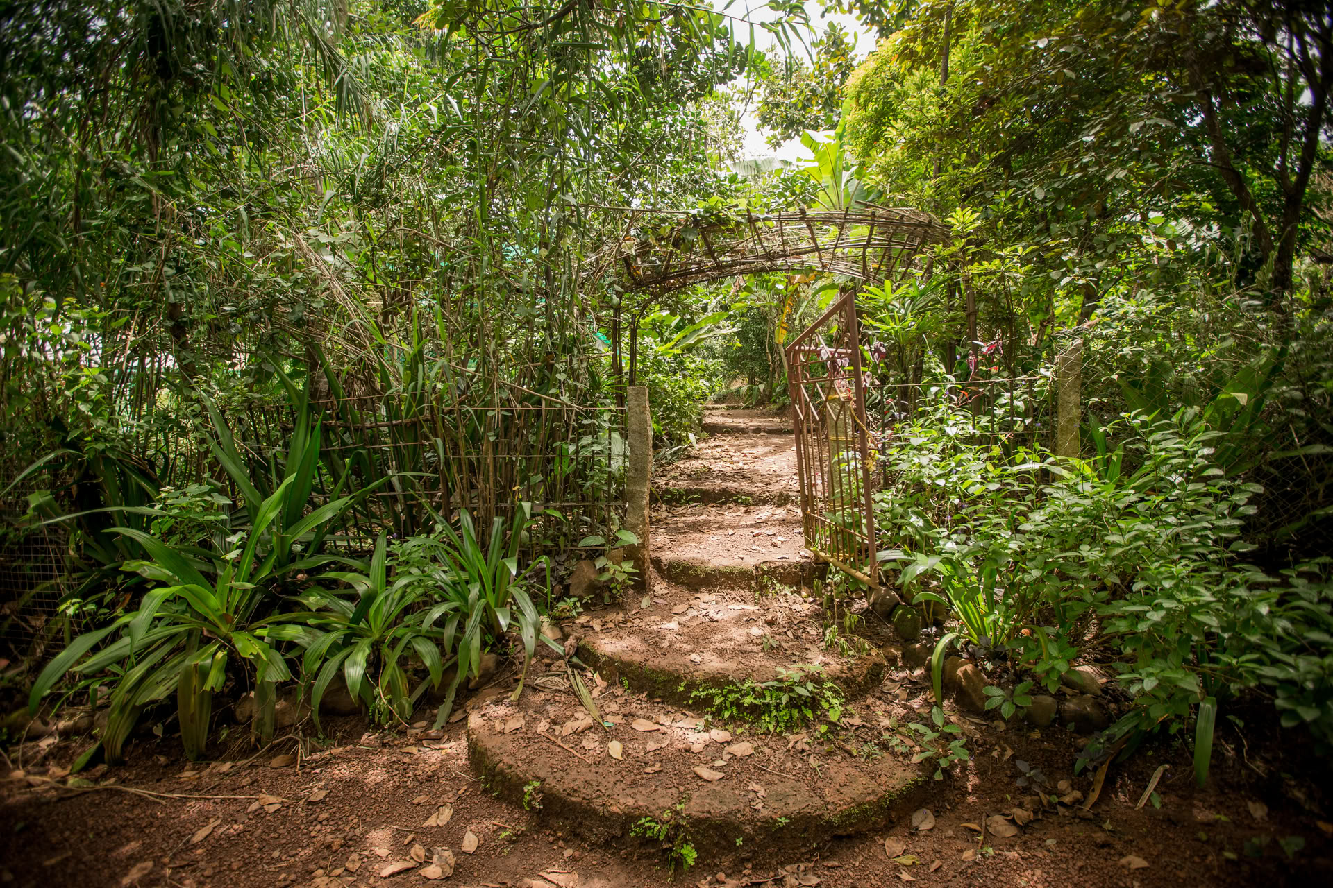 Retiro de Yoga Saundarya