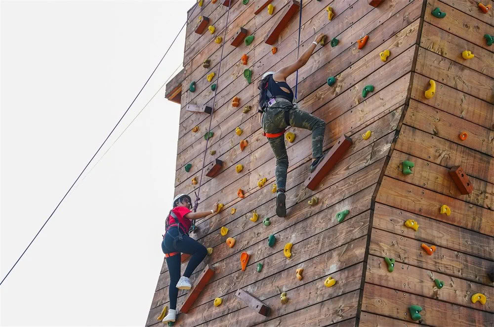 Team-Building de alto impacto