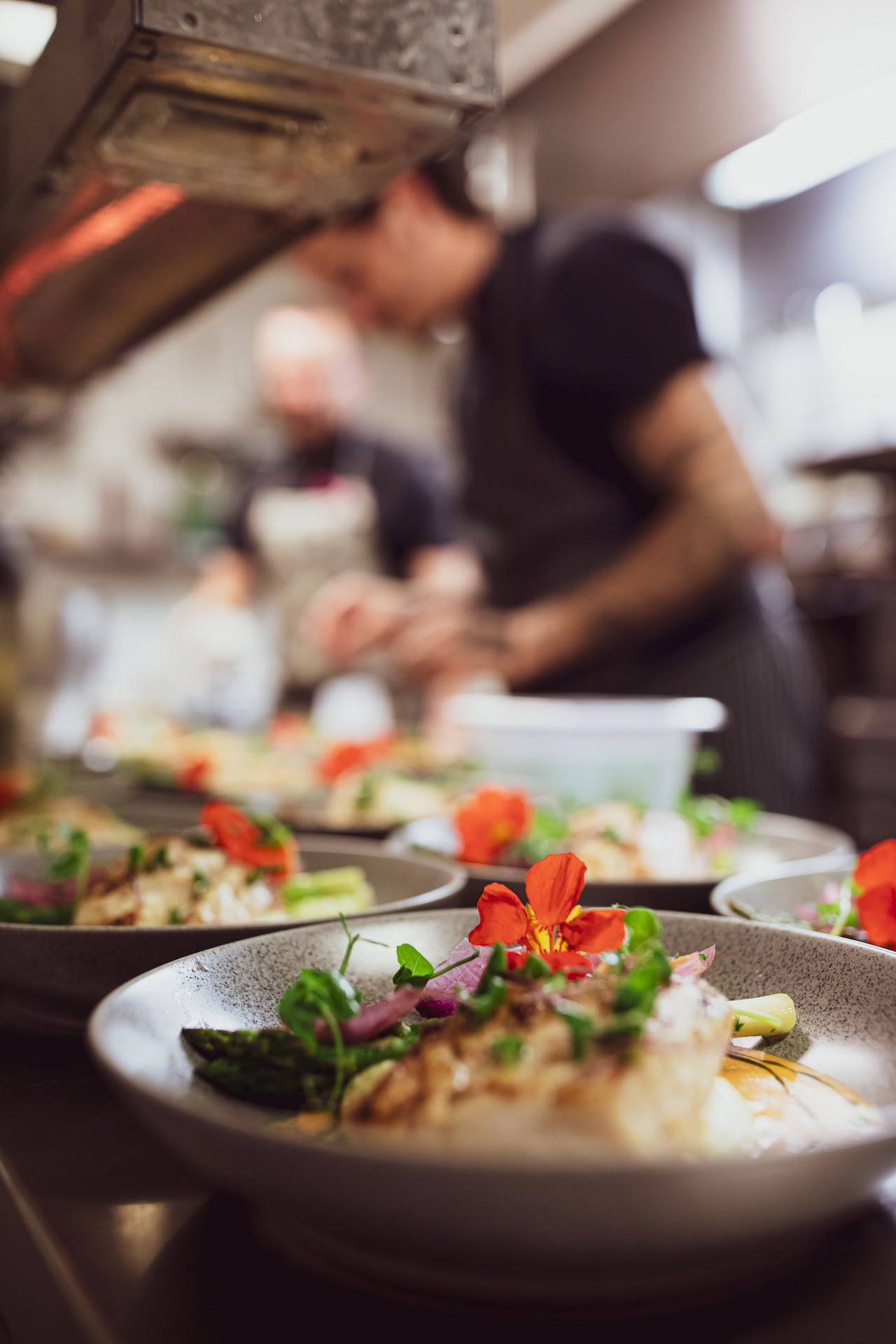 Business Vision Quest en las Lofoten