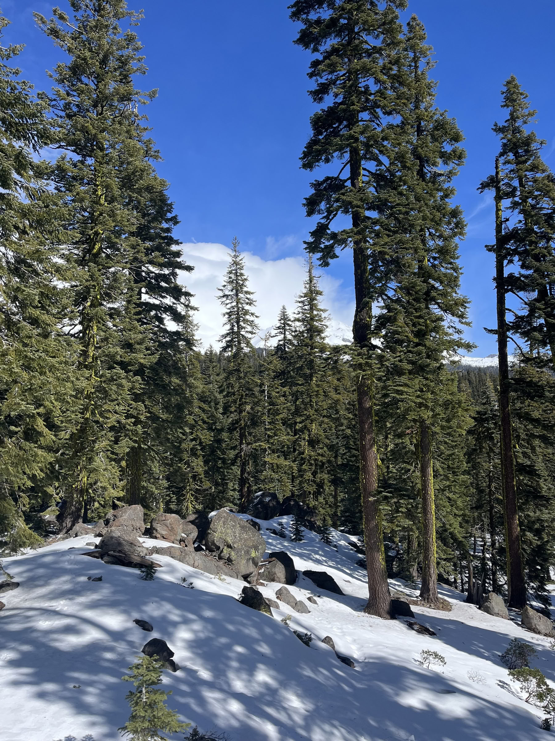 Retiro de profunda paz interior: Mt. Shasta, CA