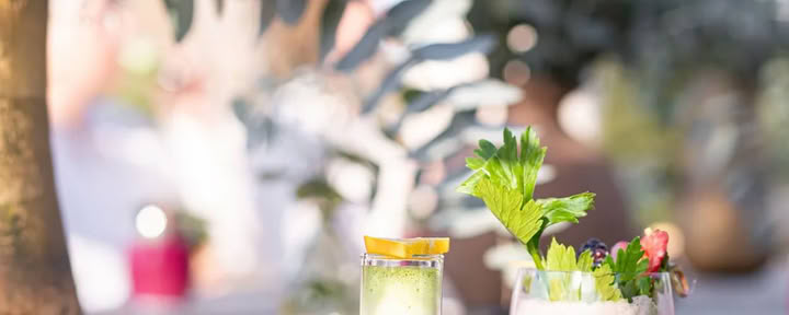 Detox Deluxe Retiro October