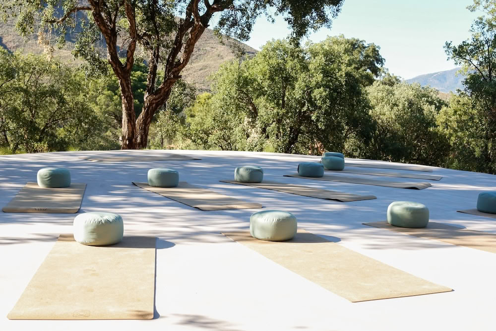 THE LUMINOUS SELF - RETIRO DE YOGA