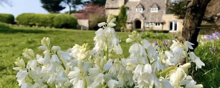 Restorative Retiro with Tanya Forgan
