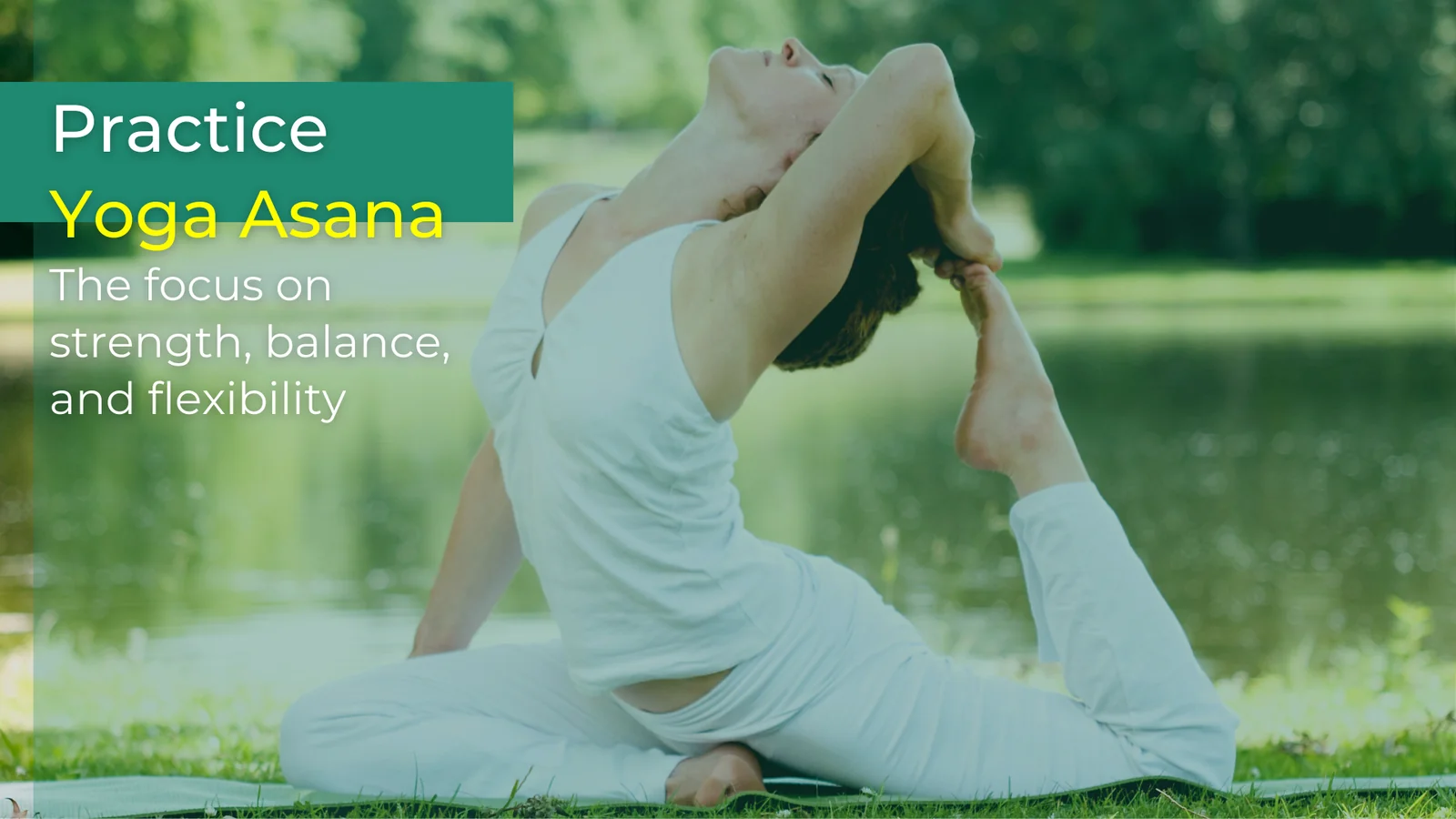 Yoga Retreat en Países Bajos: 3 días de dicha
