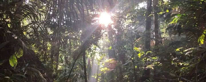 15 DÍAS RETIRO: RAÍCES DE LA TRANSFORMACIÓN