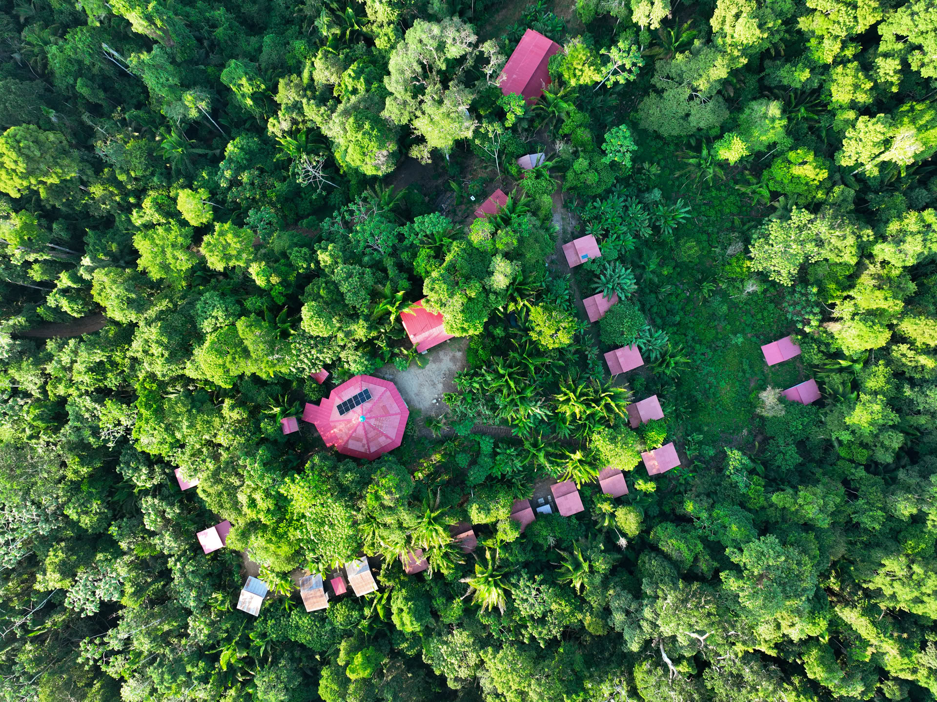 Retiro de Ayahuasca Pucallpa