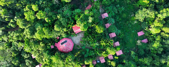 Retiro de Ayahuasca Pucallpa