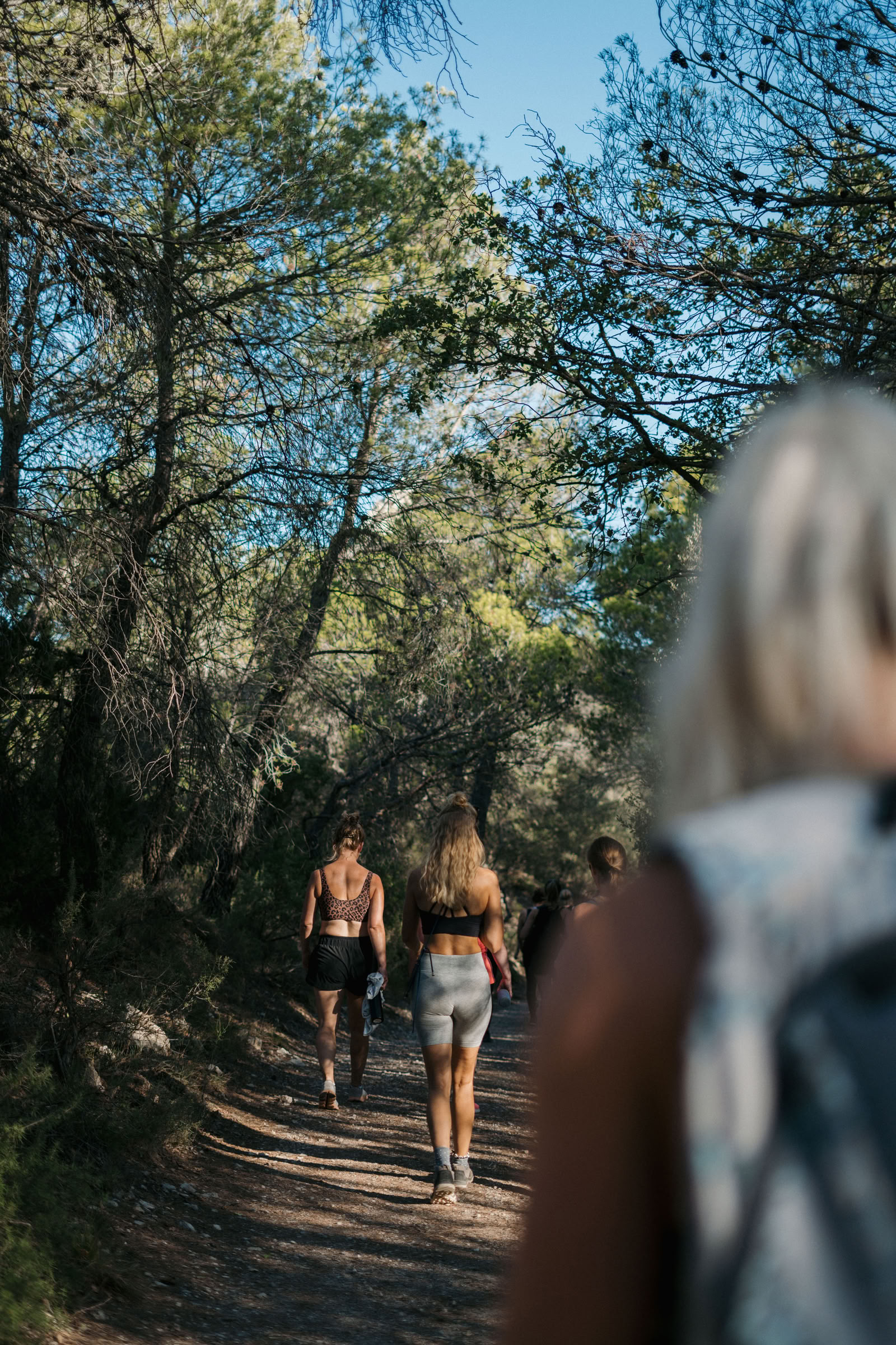 Reconnect & Reset retiro en Spain