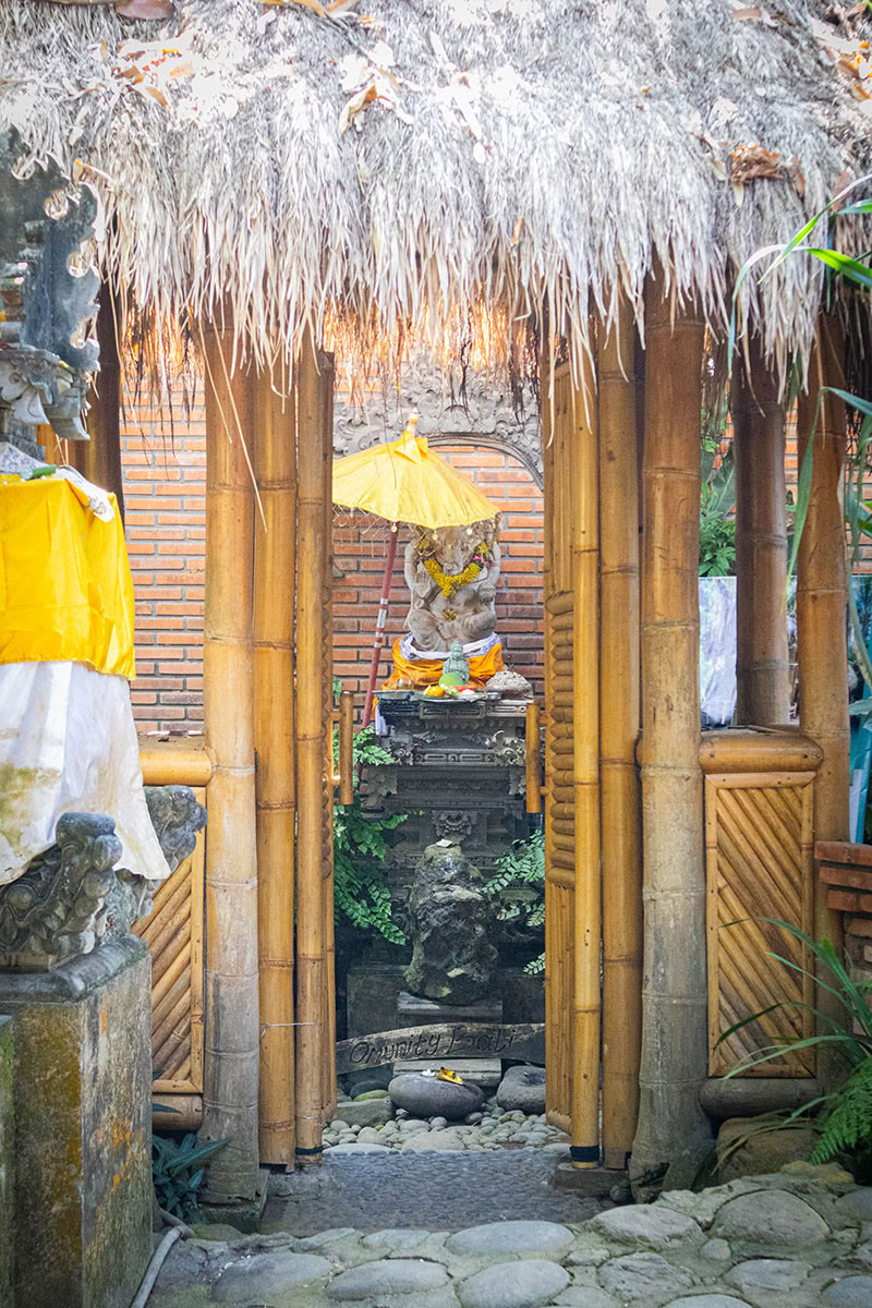 Package 3: Viaje de sanación: "Limpieza y purificación" (3 días / 2 noches)