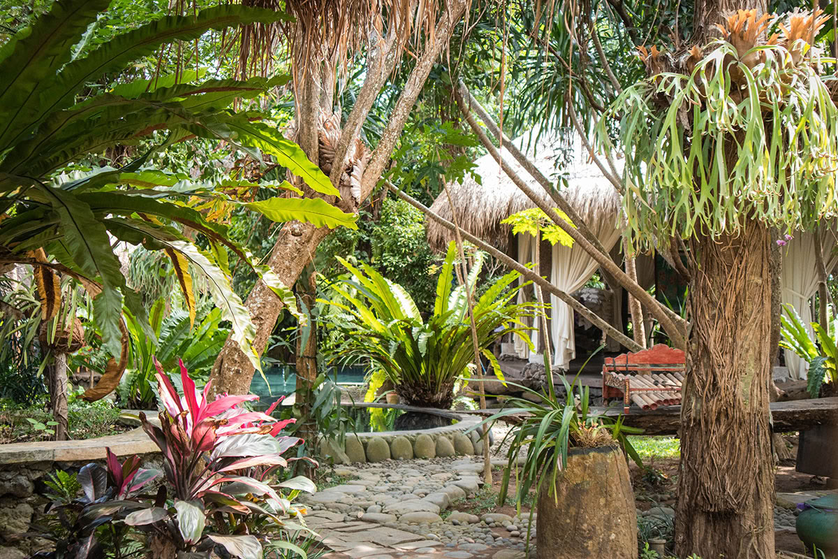 Package 3: Viaje de sanación: "Limpieza y purificación" (3 días / 2 noches)