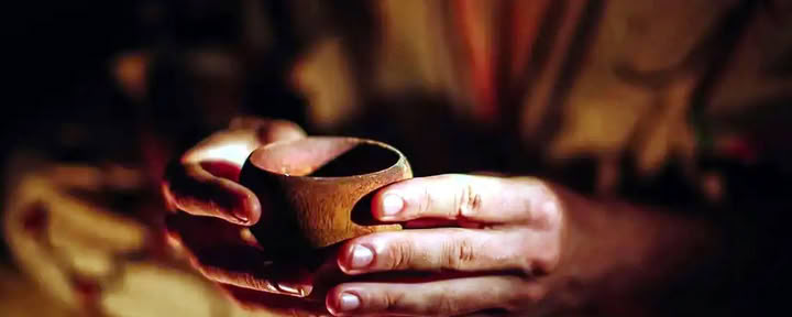Retiro de Ayahuasca para Gay y LGBTQ