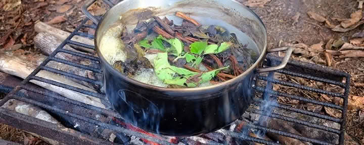 5 días Retiro de Ayahuasca Iquitos-Perú