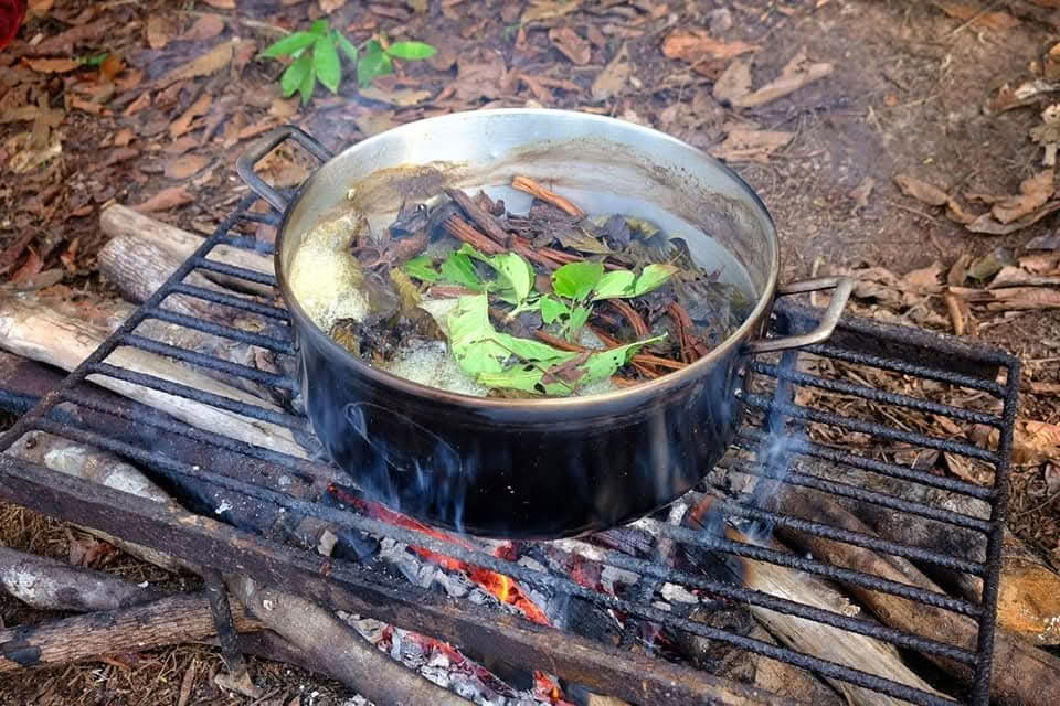 12 días Retiro de Ayahuasca en Perú en Selva Madre